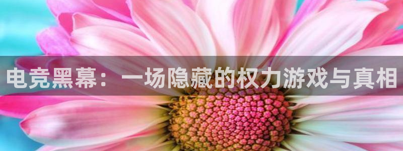 南宫电竞官网：电竞黑幕：一场隐藏的权力游戏与真相