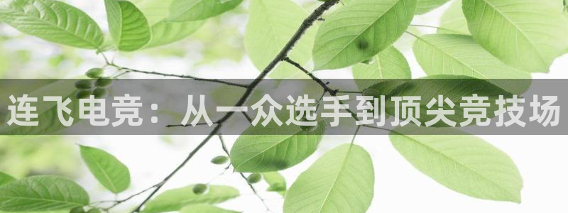 南宫电竞注册：连飞电竞：从一众选手到顶尖竞技场