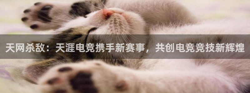 南宫电竞官网：天网杀敌：天涯电竞携手新赛事，共创电竞竞技新辉煌