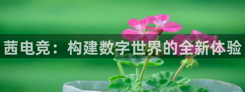南宫电竞登陆：茜电竞：构建数字世界的全新体验