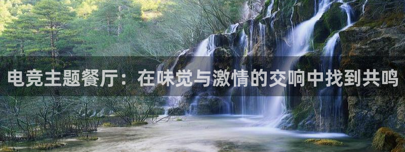 南宫电竞注册：电竞主题餐厅：在味觉与激情的交响中找到共鸣