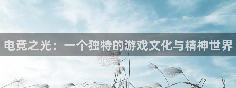 南宫电竞贴吧：电竞之光：一个独特的游戏文化与精神世界