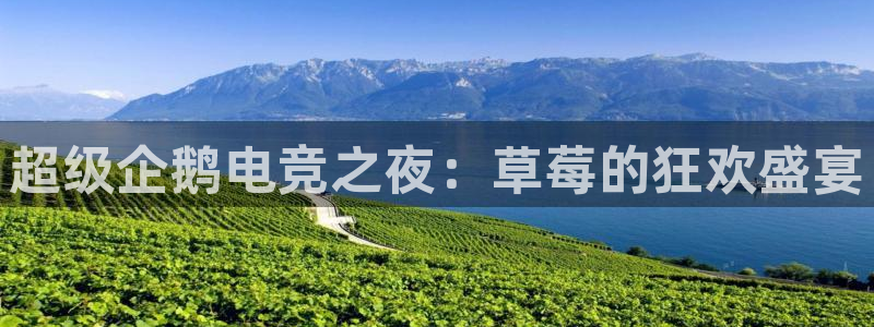 南宫电竞：超级企鹅电竞之夜：草莓的狂欢盛宴