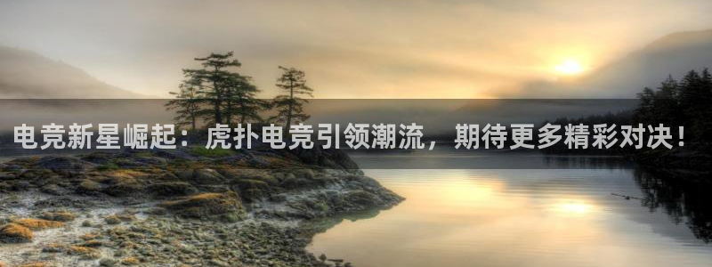 南宫电竞官网：电竞新星崛起：虎扑电竞引领潮流，期待更多精彩对决！