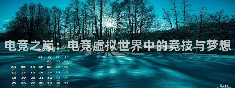 南宫电竞网：电竞之巅：电竞虚拟世界中的竞技与梦想