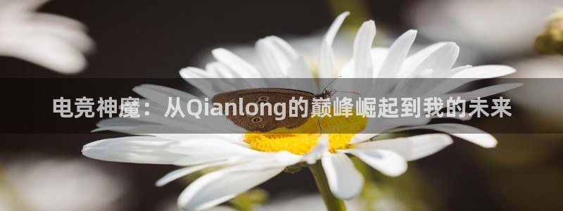 南宫电竞网：电竞神魔：从Qianlong的巅峰崛起到我的未来