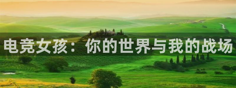 南宫电竞：电竞女孩：你的世界与我的战场