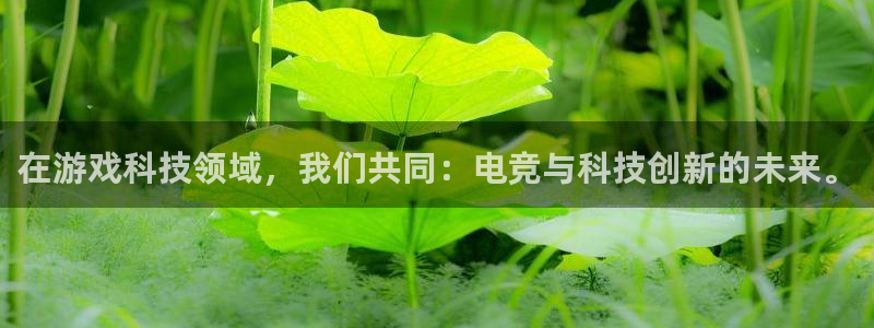 南宫电竞官网：在游戏科技领域，我们共同：电竞与科技创新的未来。