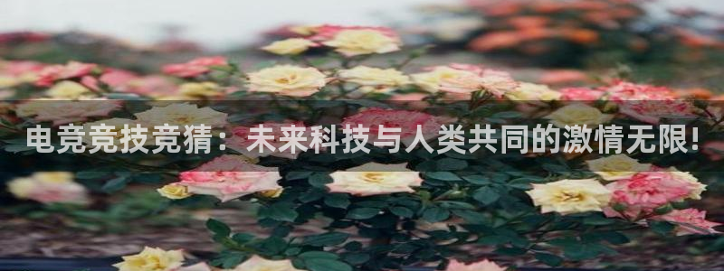 南宫电竞贴吧：电竞竞技竞猜：未来科技与人类共同的激情无限!