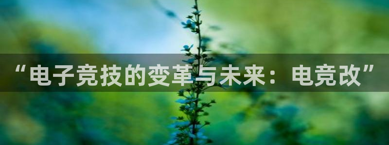南宫电竞网：“电子竞技的变革与未来：电竞改”
